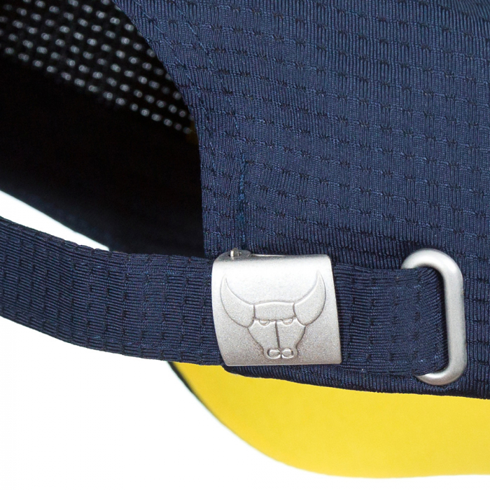 Stripe Peak Cap