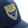 Stripe Peak Cap