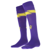 Third Sock 2024/25